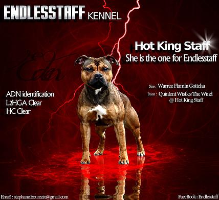 hot king staff She is the one for endlesstaff